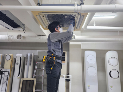 체계적인 교육과정